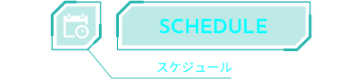 SCHEDULE